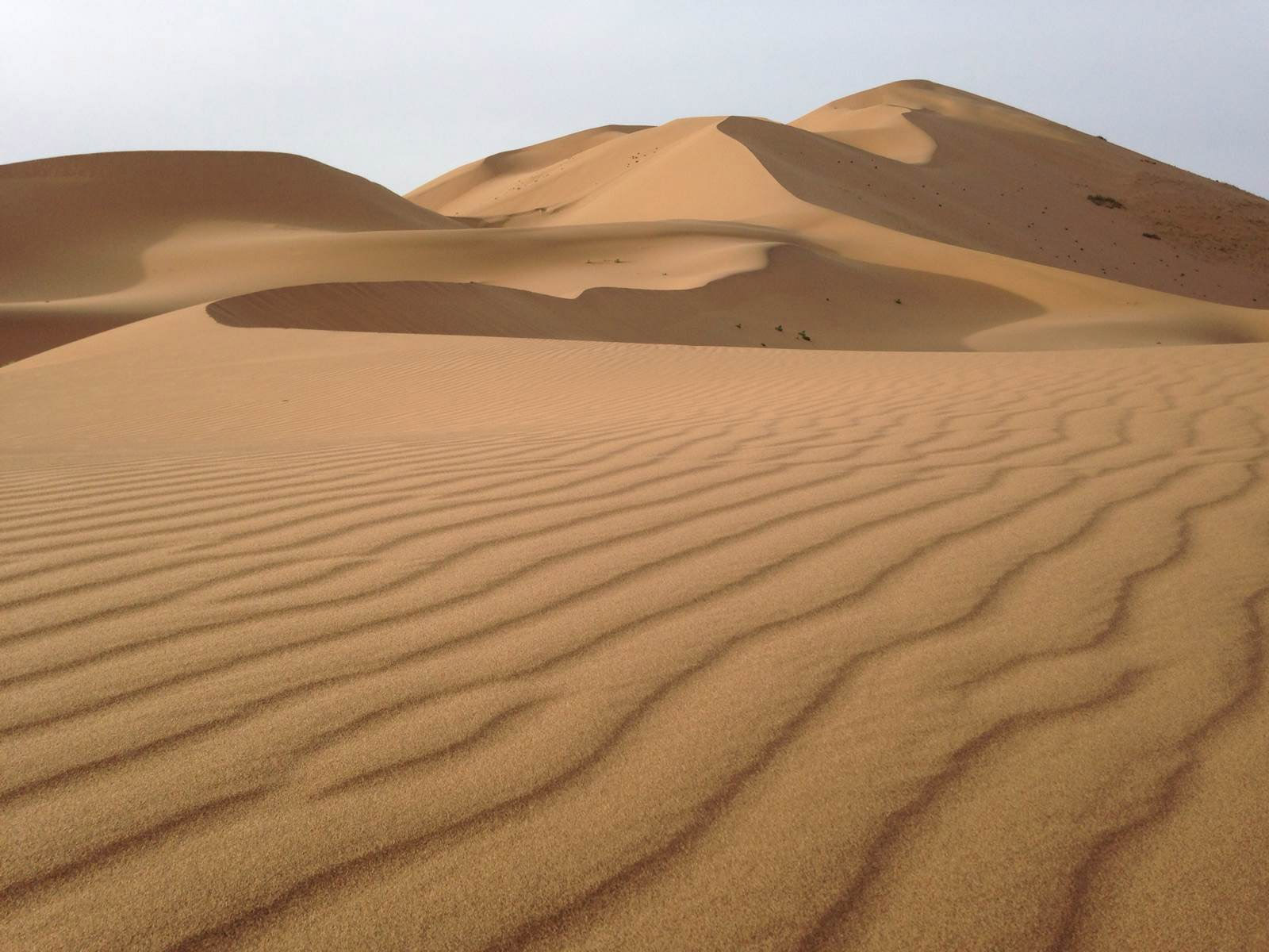 Ь�Ӻ���PS����ɳĮ���}����Ь����