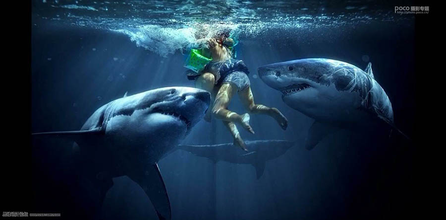 設(shè)計(jì)請教:如何用PS合成創(chuàng)意的作品