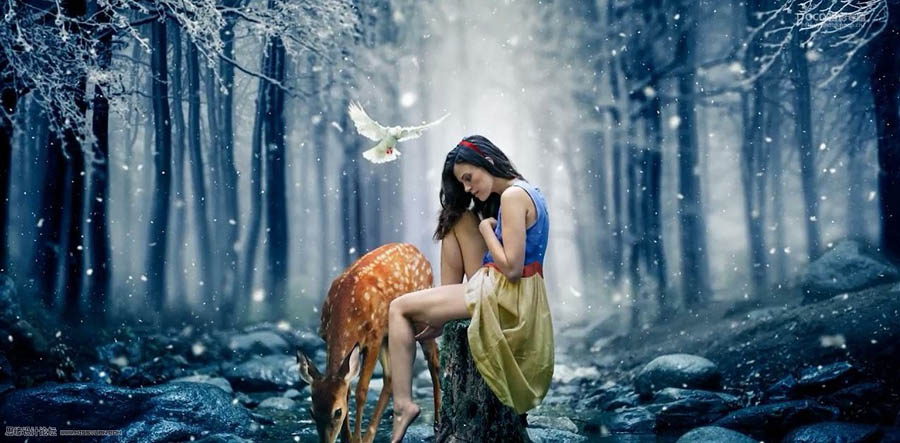 設(shè)計(jì)請(qǐng)教:如何用PS合成創(chuàng)意的作品