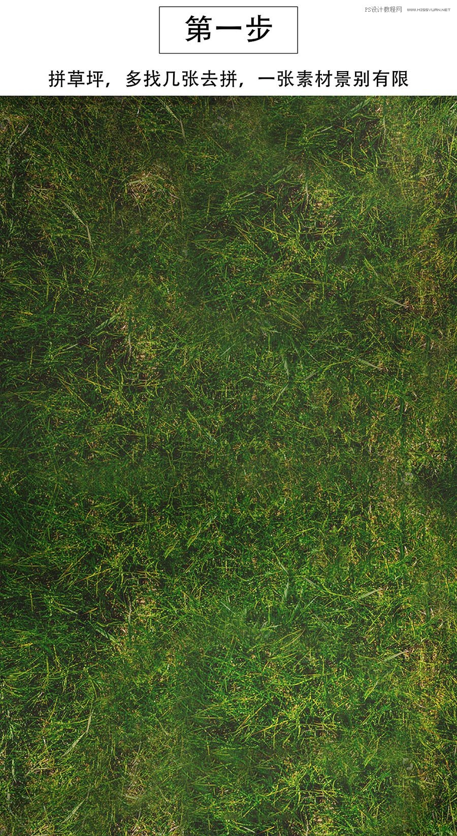 ���󺣈���PS����ϳɳ���ĺ�����Ʒ