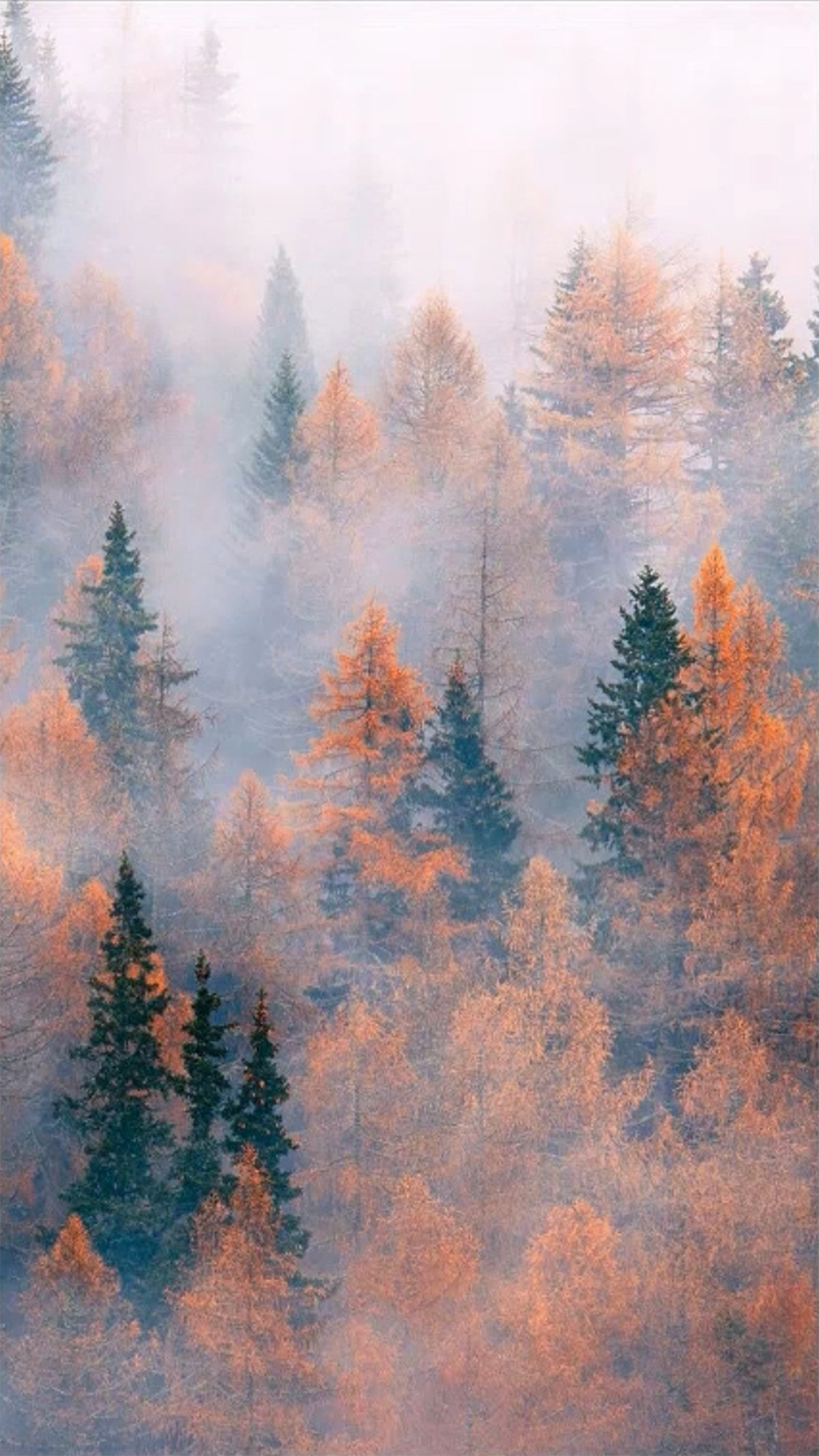 Photoshop創意合成人像二次曝光效果