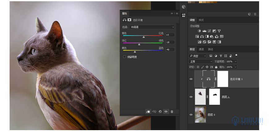 Photoshop創意的合成貓咪頭像的貓頭鷹
