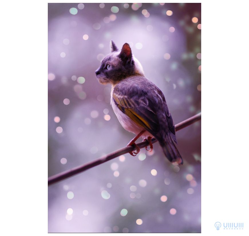 Photoshop��(chu��ng)��ĺϳ�؈���^���؈�^��