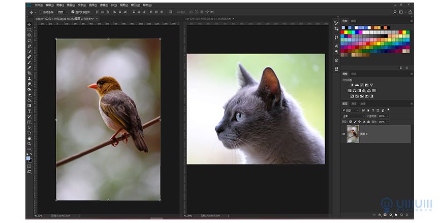 Photoshop����ĺϳ�؈���^���؈�^��