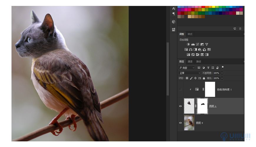 Photoshop創意的合成貓咪頭像的貓頭鷹